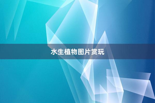水生植物图片赏玩